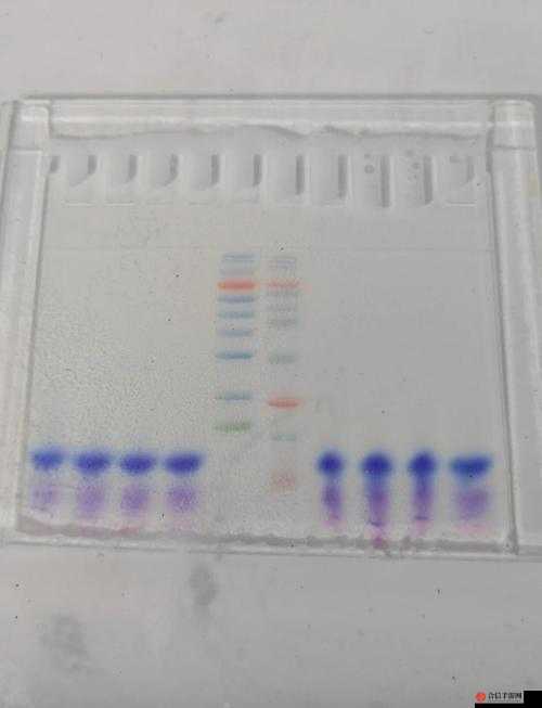 人马胶配方视频高清版详细解读及制作过程分享